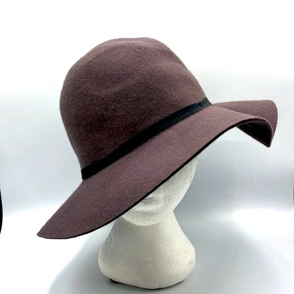 Brown felt floppy hat
